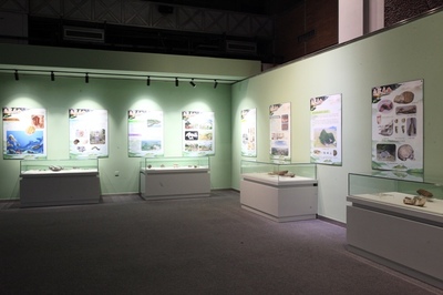 臨時展覽 創新與互動的展覽展示服務